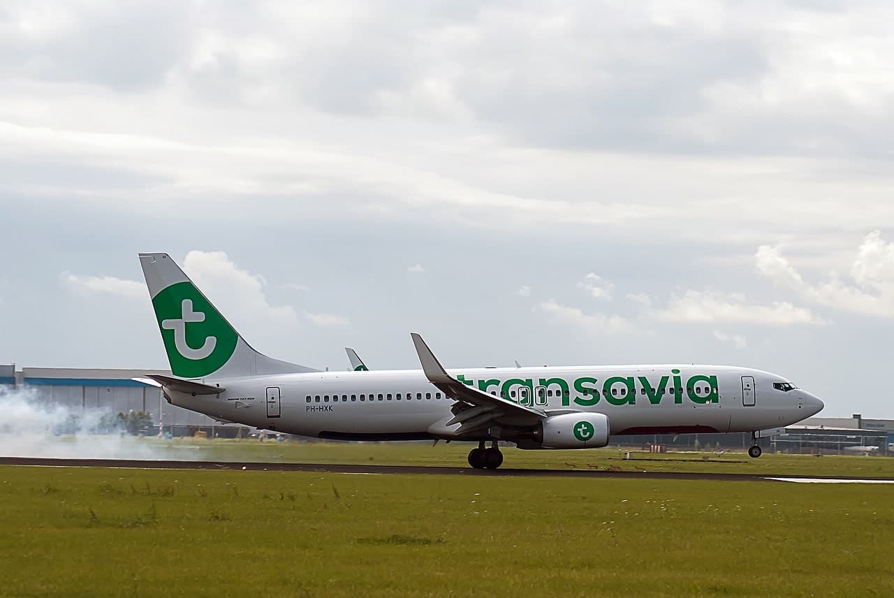 avion transavia